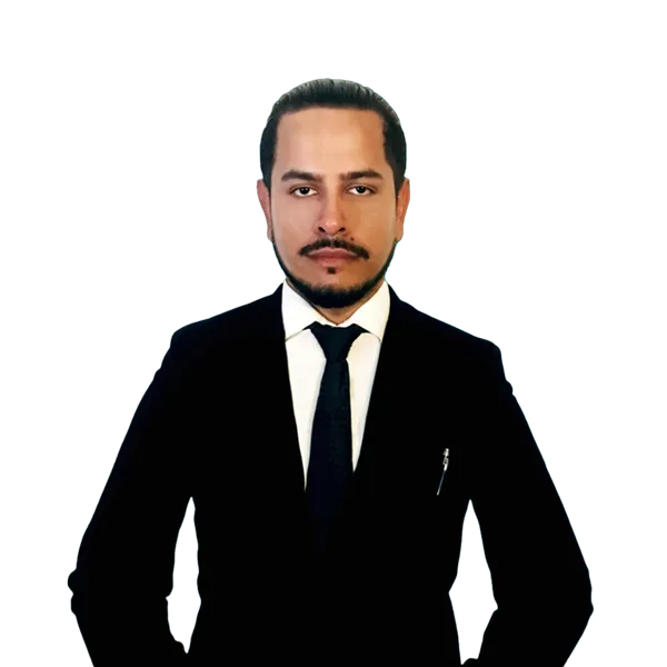 Gustavo Bargas, Consultoría